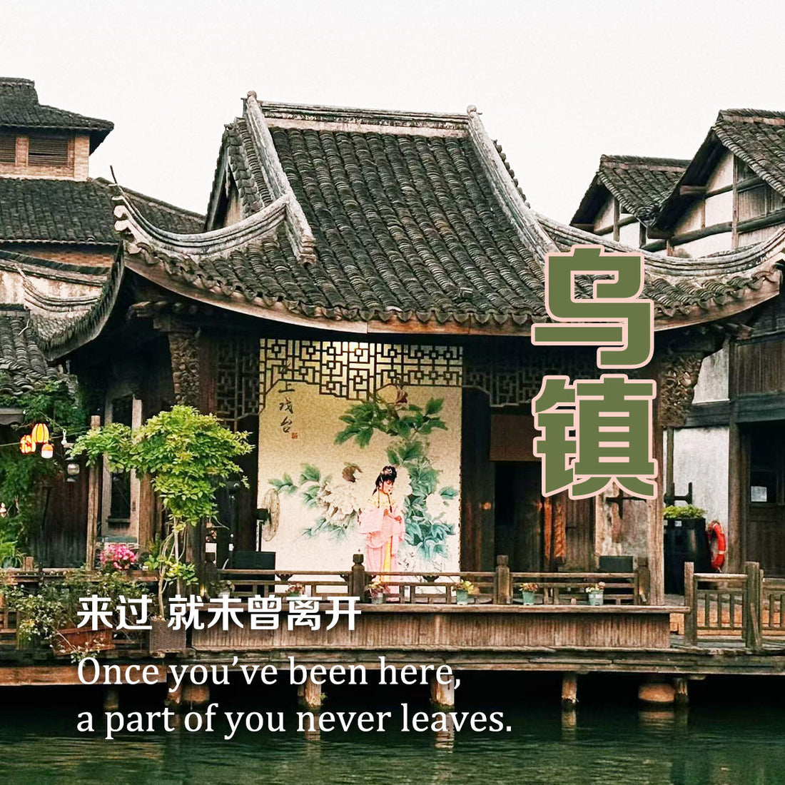 Celebrating 8 Years of Adventure: Xiongben’s Magical Birthday Journey to Wuzhen Water Town