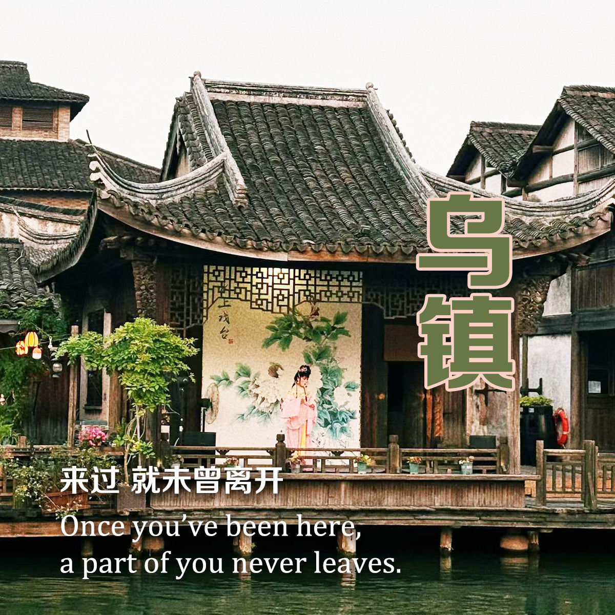 Celebrating 8 Years of Adventure: Xiongben’s Magical Birthday Journey to Wuzhen Water Town