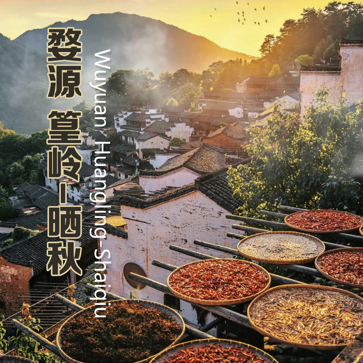 Wuyuan Huangling: A Dazzling Portrait of Earthly Beauty and Everyday Life