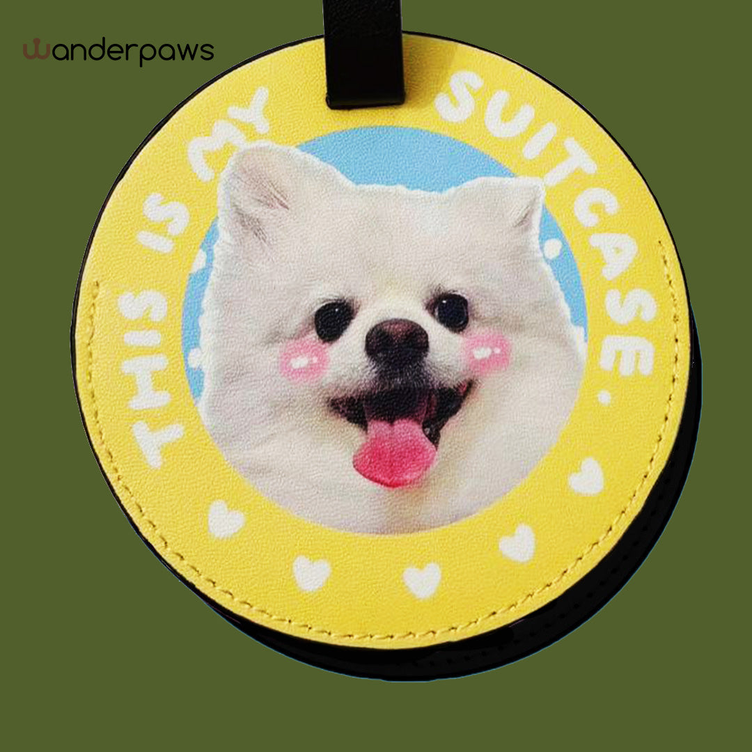 Hand holding open a yellow round pet luggage tag with a writable contact information card