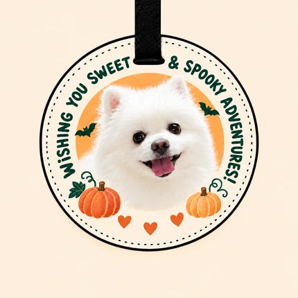 Limited-Edition Personalized Pet Luggage Tag | Halloween & Christmas Designs