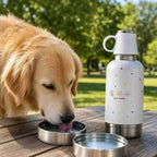 Shared Hydration on the Go: The 2-in-1 Insulated Bottle for You and Your Dog