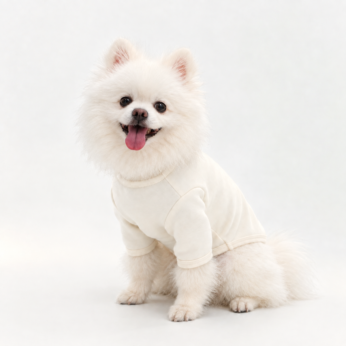 White Pomeranian wearing a cream cotton pet base layer shirt