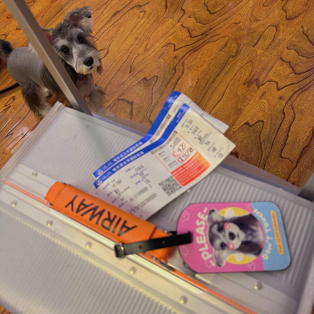 Miniature Schnauzer beside an open suitcase with a personalized pink rectangle pet luggage tag