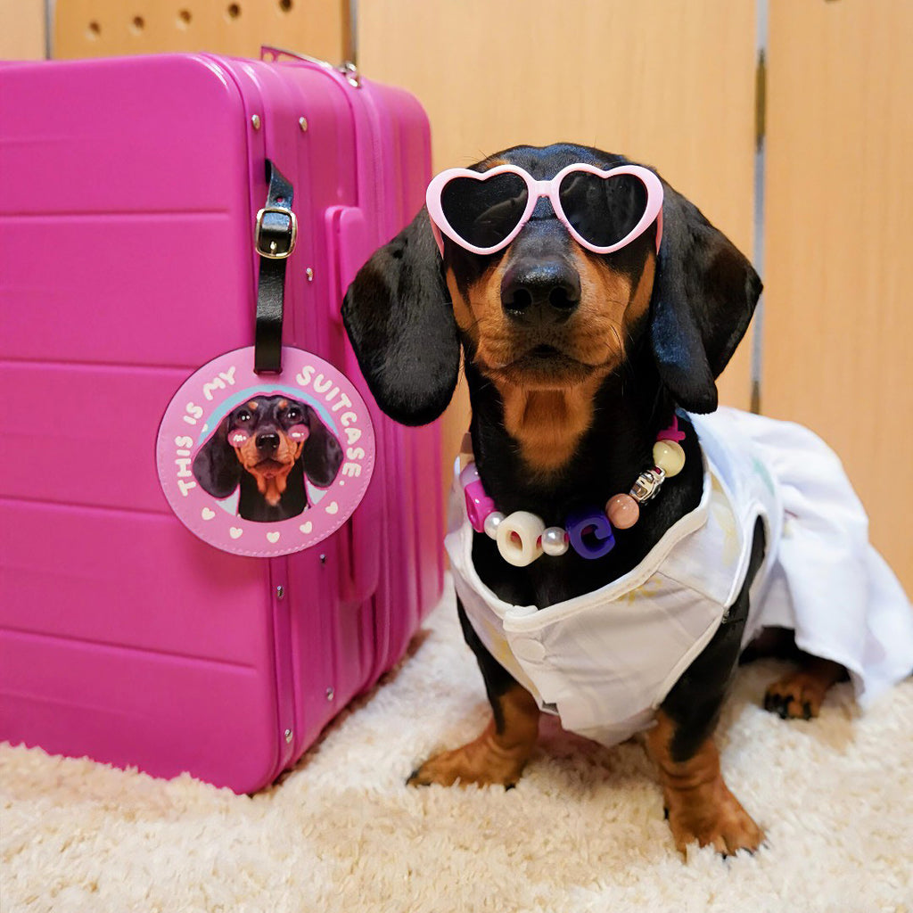 Custom Dog & Cat Luggage Tag with Pet Photo   Personalized Travel Bag Tag