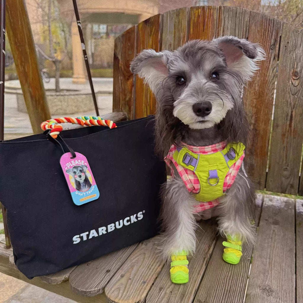 Custom Dog & Cat Luggage Tag with Pet Photo   Personalized Travel Bag Tag